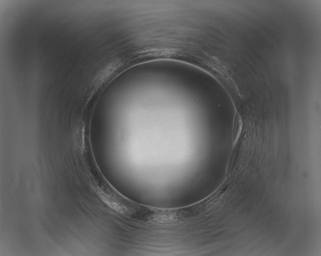 X0000054420110200507291259