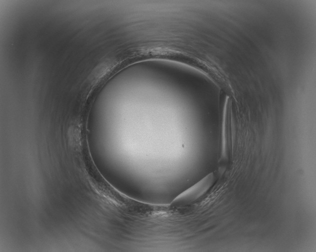 X0000054420111200507291259