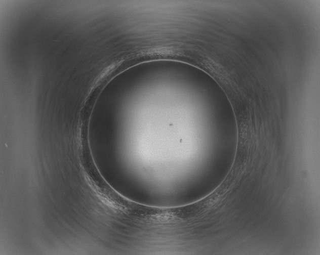 X0000054420112200507291259