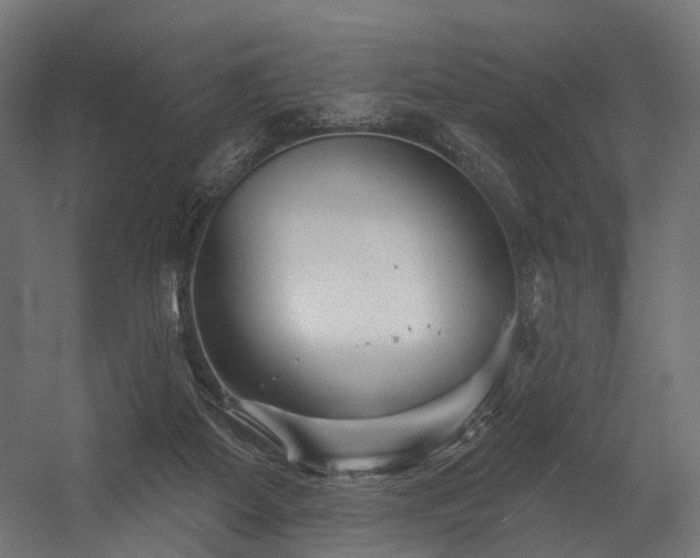 X0000054420115200507291259