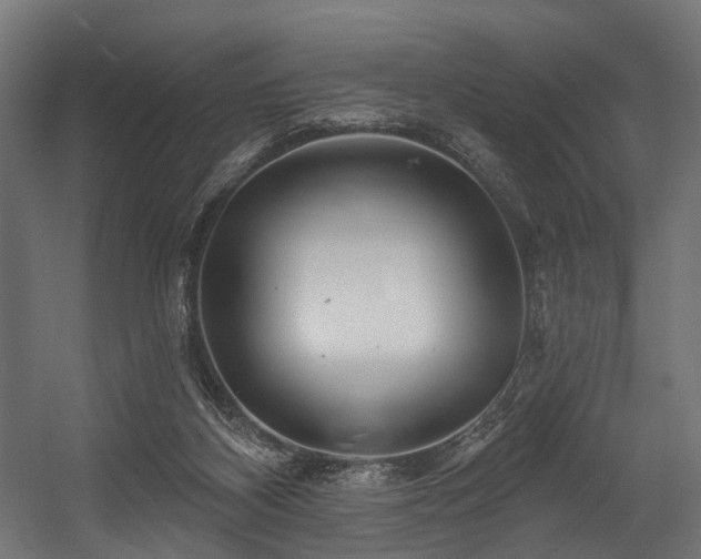 X0000054420116200507291259