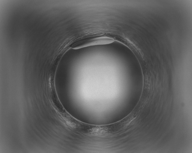 X0000054420117200507291259