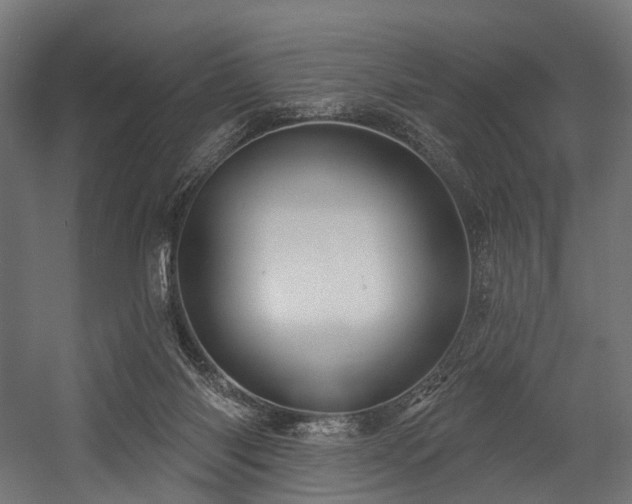 X0000054420118200507291259