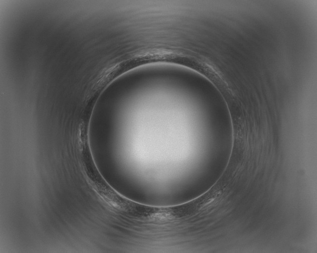 X0000054420119200507291259