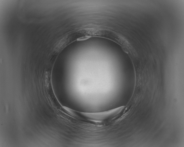 X0000054420121200507291259