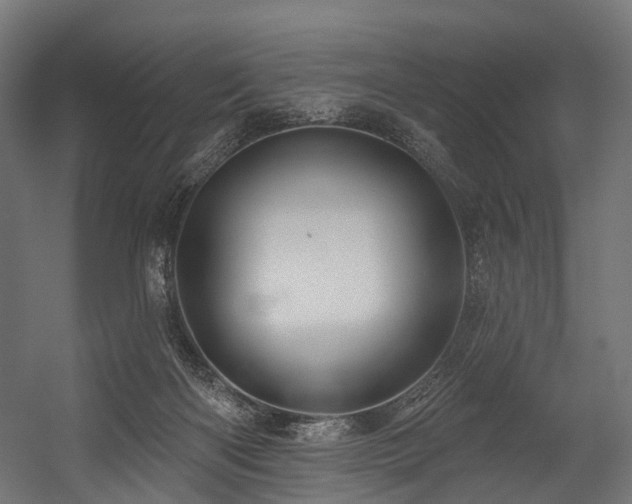 X0000054420122200507291259