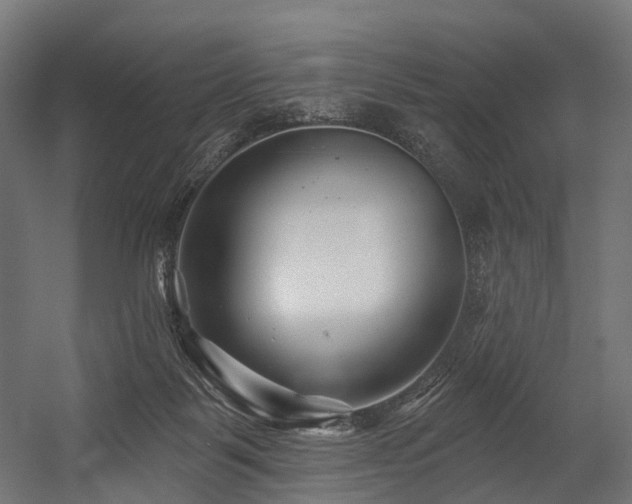 X0000054420123200507291259