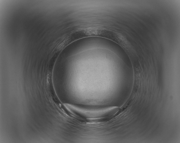 X0000054420125200507291259