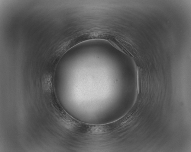 X0000054420127200507291259