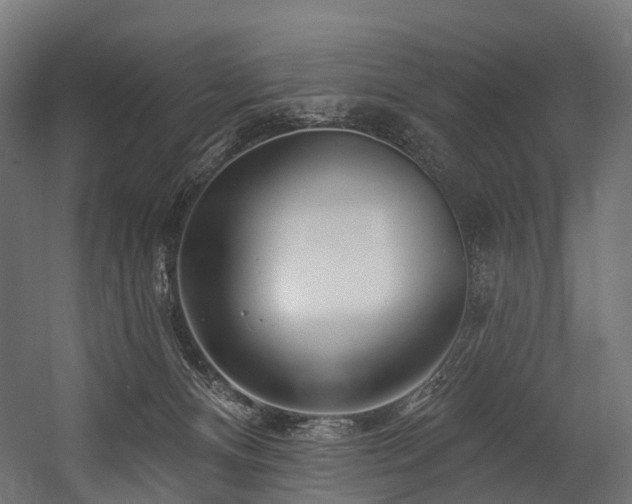 X0000054420128200507291259