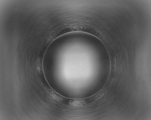 X0000054420129200507291259