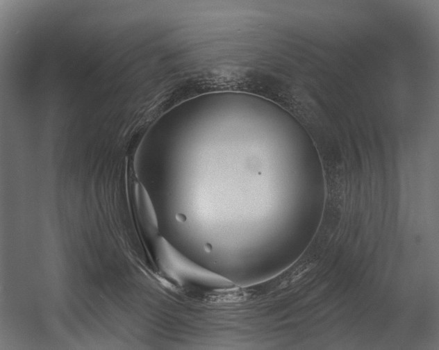 X0000054420131200507291259