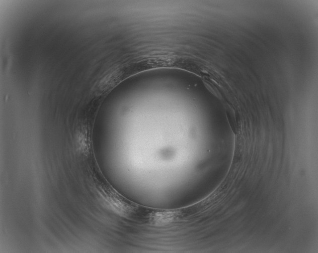 X0000054420134200507291259