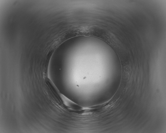 X0000054420135200507291259