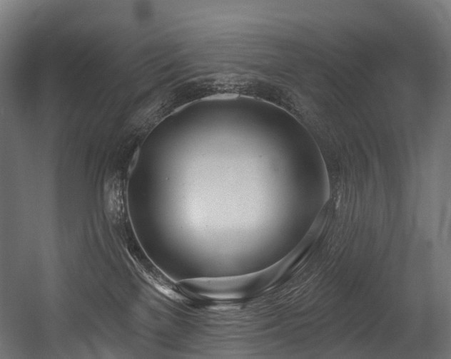 X0000054420137200507291259