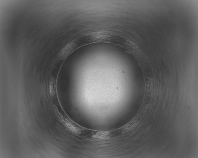 X0000054420138200507291259