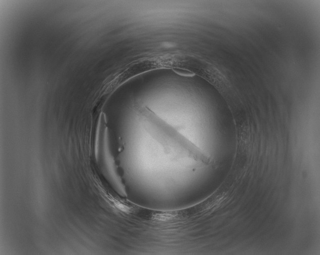 X0000054420139200507291259