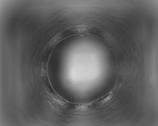 X0000054420140200507291259