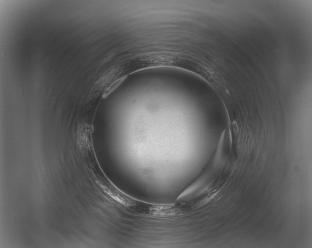 X0000054420141200507291259