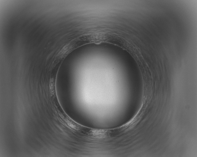 X0000054420144200507291259