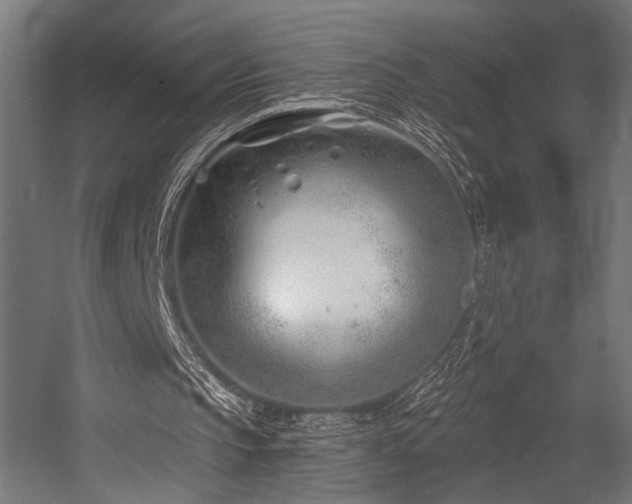 X0000054420145200507291258