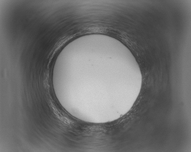 X0000054420146200507291258