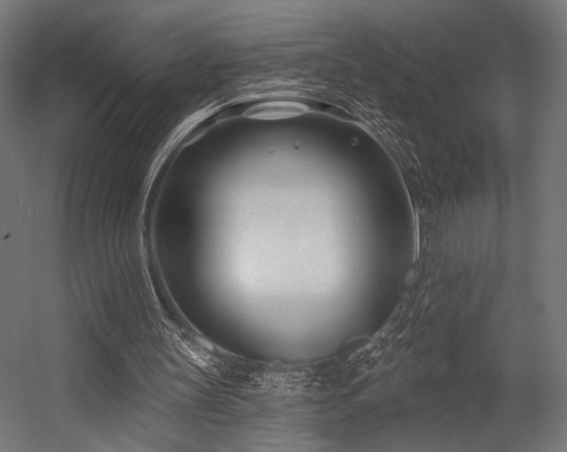 X0000054420147200507291258