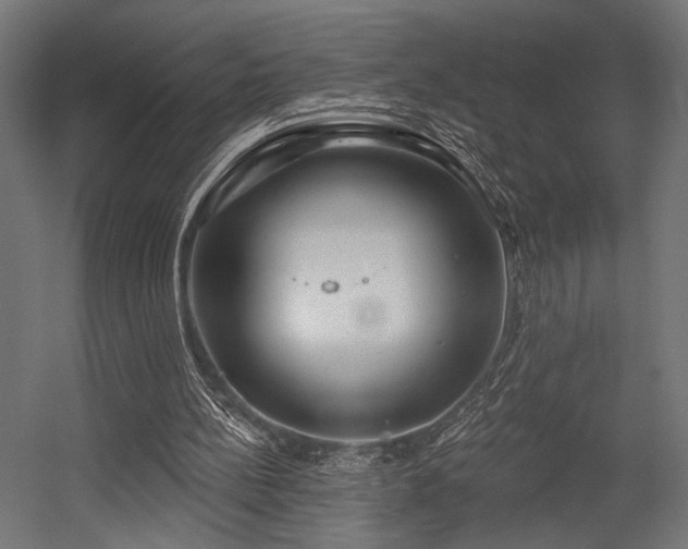 X0000054420148200507291258