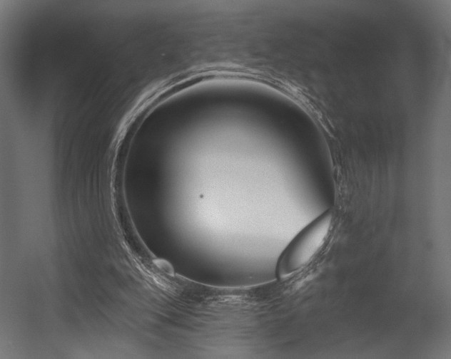 X0000054420151200507291258