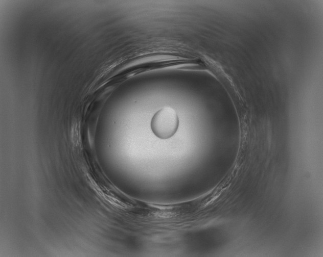 X0000054420154200507291258