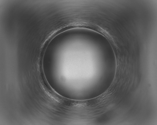 X0000054420155200507291258