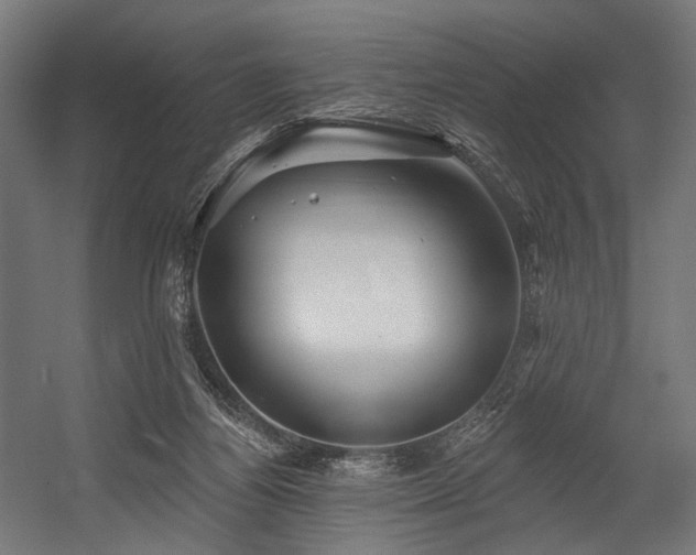 X0000054420164200507291258