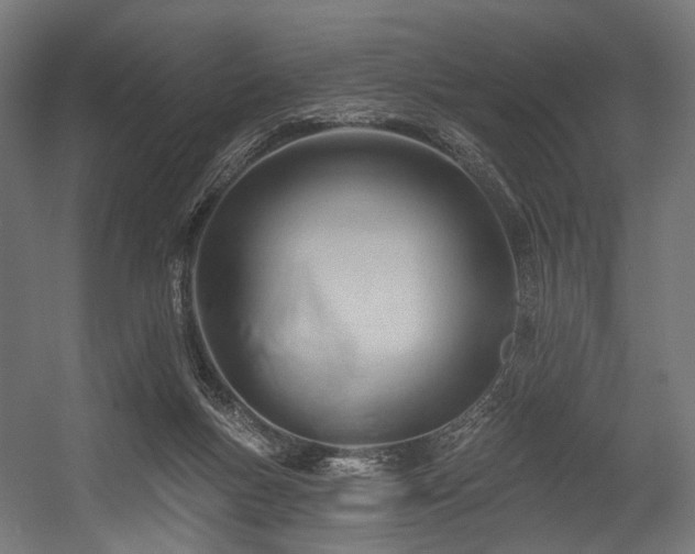 X0000054420167200507291258