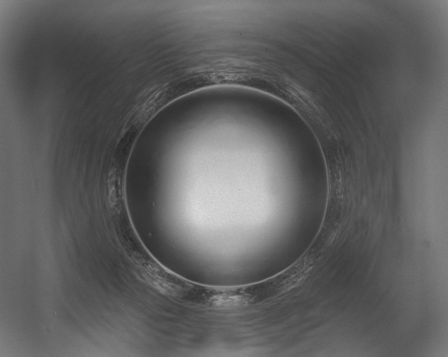 X0000054420169200507291258