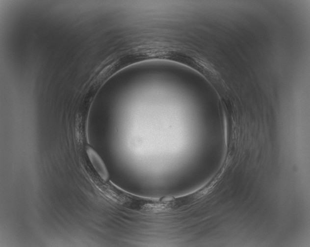 X0000054420170200507291258