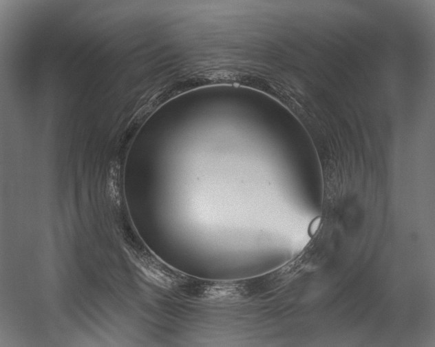 X0000054420175200507291258