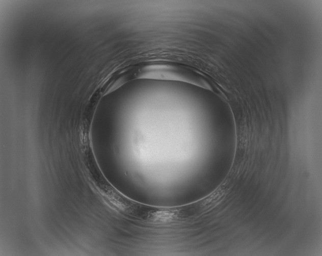 X0000054420176200507291258