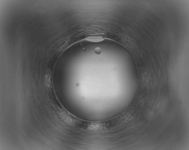 X0000054420177200507291258