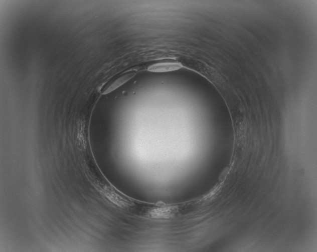 X0000054420178200507291258