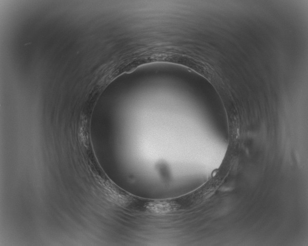 X0000054420181200507291258