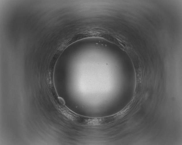 X0000054420182200507291258