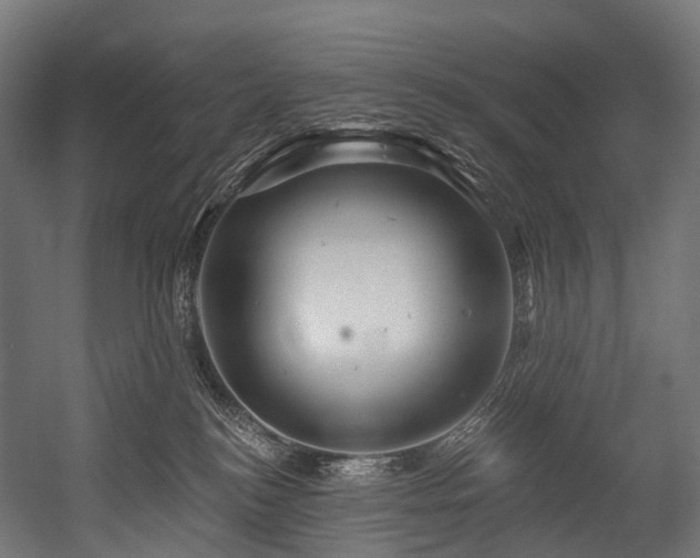 X0000054420184200507291258