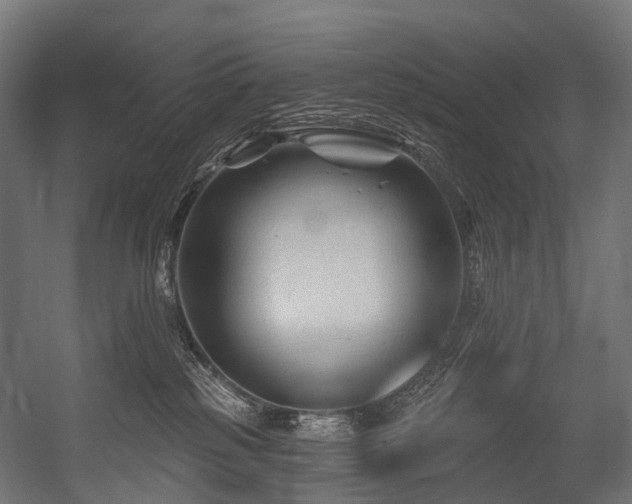 X0000054420185200507291258