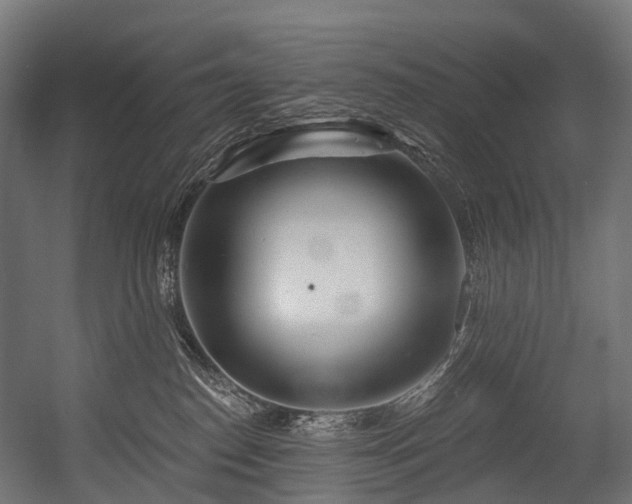 X0000054420186200507291258