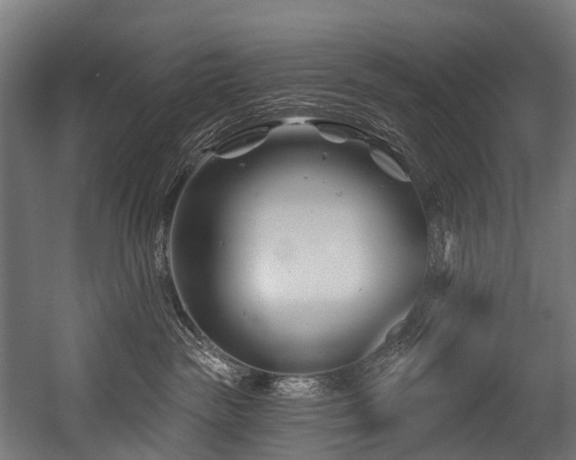 X0000054420189200507291259