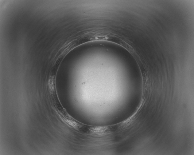 X0000054420191200507291259