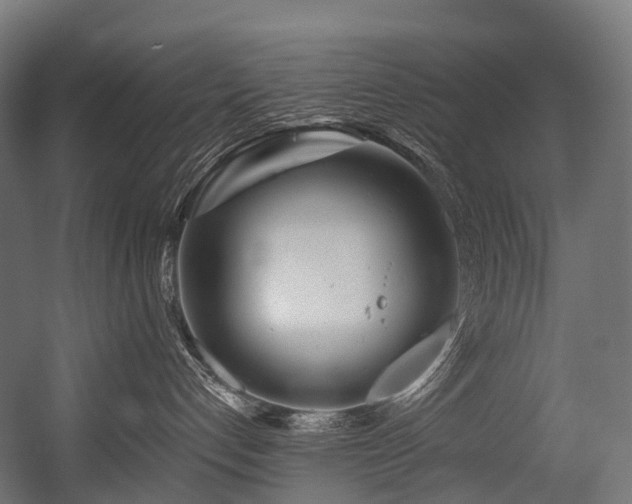 X0000054420192200507291259