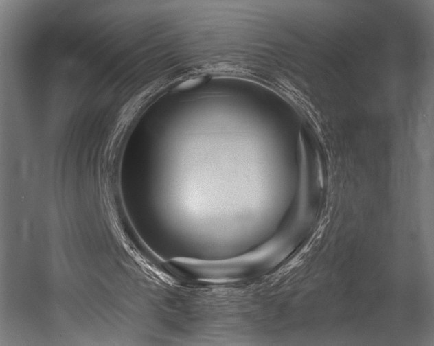 X0000054420193200507291258