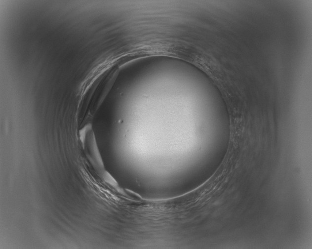 X0000054420194200507291258