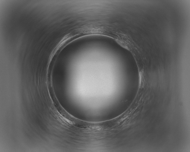 X0000054420195200507291258